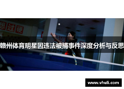 赣州体育明星因违法被捕事件深度分析与反思