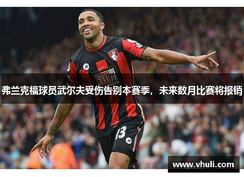 弗兰克福球员武尔夫受伤告别本赛季，未来数月比赛将报销