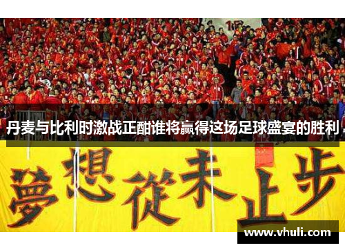 丹麦与比利时激战正酣谁将赢得这场足球盛宴的胜利